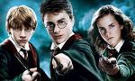 What Harry Potter character are you? (8)