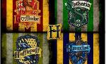 What is Your Hogwarts House? (3)