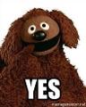which muppet are you? rowlf edition