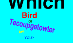 Which Tecoup Bird are you?