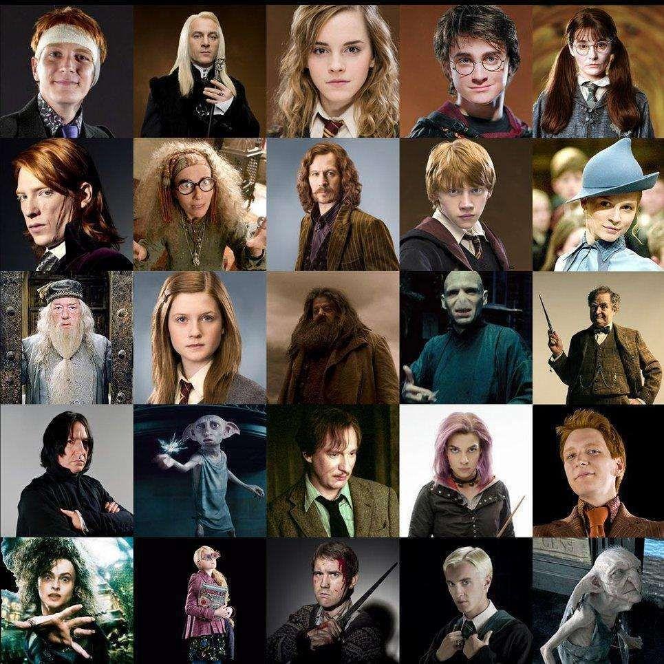 Which Harry Potter character are you? (12) - Personality Quiz