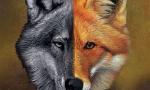 Is your personality a fox or a wolf?