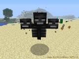 Do you know the Wither?
