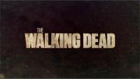 Walking Dead Quiz (1)