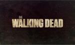 Walking Dead Quiz (1)