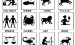 Which Zodiac Sign Should you be?