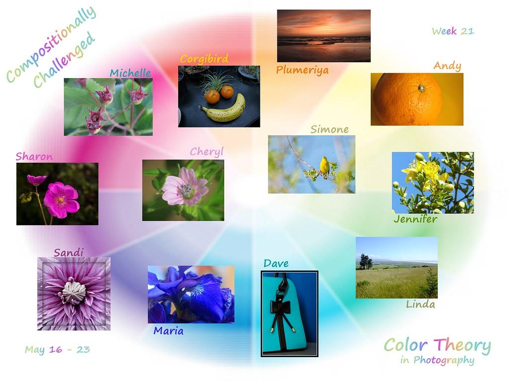 Discover Your Complementary Color Personality Discover Your Complementary Color Personality