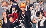 Which Bleach character are you ?