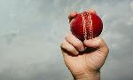 Cricket Fielding Strategies Quiz