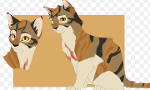 Warrior Cats Quiz- How well do you know Leafstar?