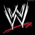 how much do you know about wwe? 3