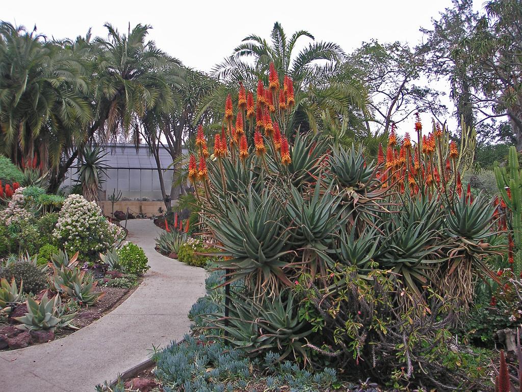 Botany Quiz Botany Quiz