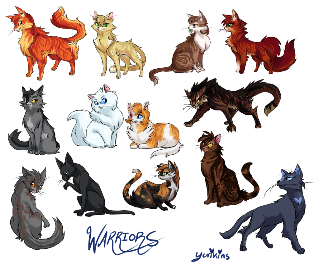 warrior cat quiz (3)