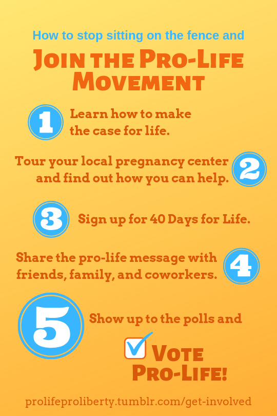Where do you fit in the pro-life movement? Where do you fit in the pro-life movement?