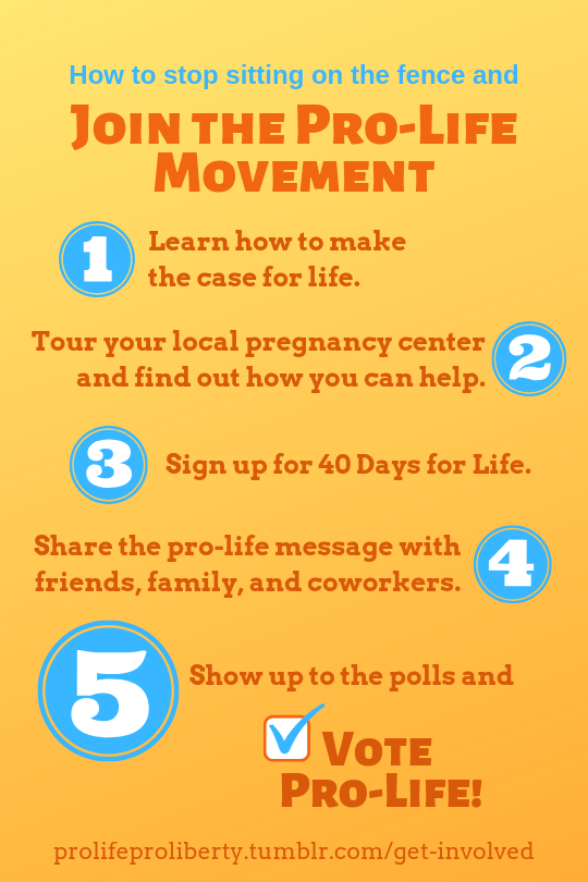 Where do you fit in the pro-life movement?