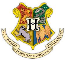 your hogwarts life long results your hogwarts life long results