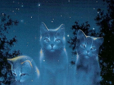 Warrior Cats Quiz- What Clan Are You From?