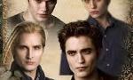 Which Twilight character are you? (Guys only)