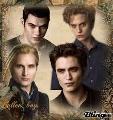 Which Twilight character are you? (Guys only)