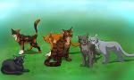 How much do you really know about Warrior cats?