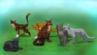 How much do you really know about Warrior cats?