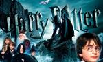 Harry Potter quiz (14)