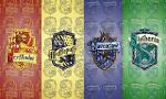 What Hogwarts house are you in? (7)