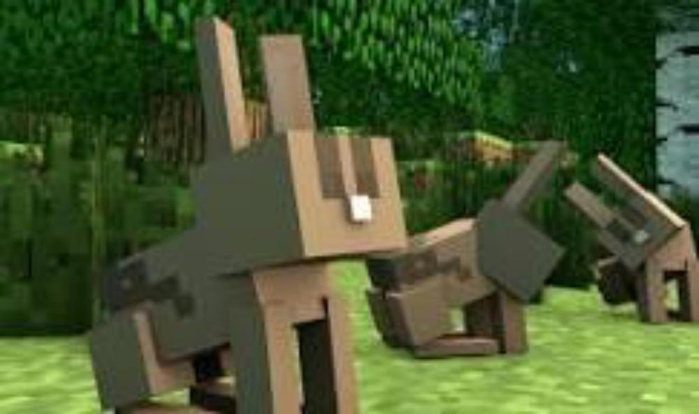 What MineCraft animal are you? (1)