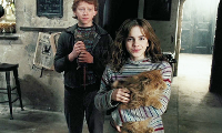 Hermione Granger Knowledge