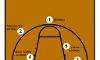 Basketball Positions Quiz