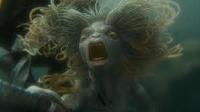 The merfolk from Harry Potter and the Goblet of Fire