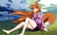 Holo! (spice and wolf)