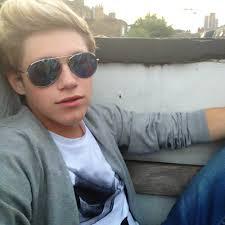 You Have The Irish Snowflake Niall Horan!