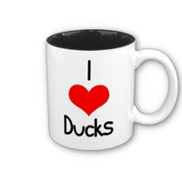 you love ducks