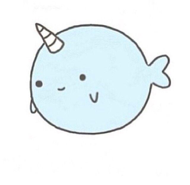 narwhal