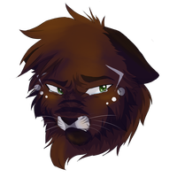 HawkFrost