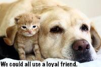 Being a Loyal Friend