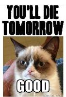 You will now live with Grumpy Cat