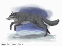 Night Wolf (Night Watcher)