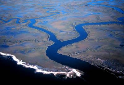 Which feshwater/saltwater ecosystem occurs when a river runs into an ocean?