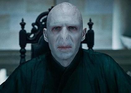 Voldemort's Horcruxes were: