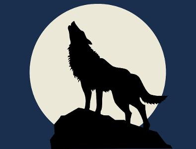 What do wolves do at the moon?