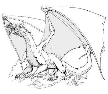 What is the typical size of a dragon?