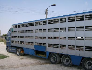 Which type of trailer is commonly used for transporting livestock?