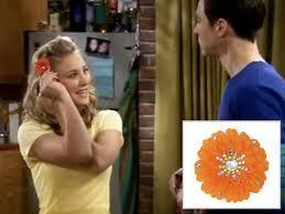 What does Penny call the flower hair accessories she makes?