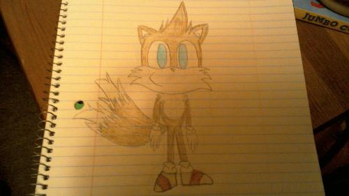 You try to see over Tails, and when he sees you doing this, he steps to the side. When he does, in his place you see a little 8 year old brown fox with a Mohawk, two frizzed out tails, and shoes like Sonic's except with a red stripe. "Aww he's adorable! Who is he?" you ask.