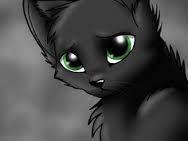 Who told Hollyleaf that her parents were fake?