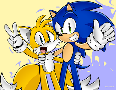 You speed walk out of the bathroom to the living room mumbling to yourself. " How did you even find me, in Earth, I mean" you ask. " well", replies Shadow, " We first asked Tails of what he knew about the proficy... and he told us what he knew, which led us to you." " Wait, who's Tails?" you ask. " Oh he's my best bud, also a two-tailed fox!" replies Sonic smiling.