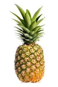 What is a Pineapple?