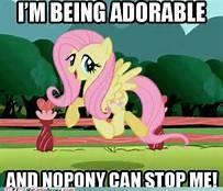 Use one word to describe Fluttershy.